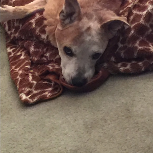 Meet your Posher, Angie - Picture 2 of 6